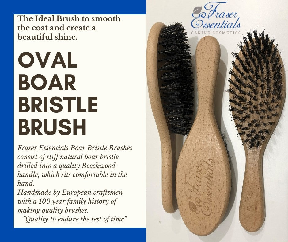 OVAL BOAR BRISTLE BRUSH